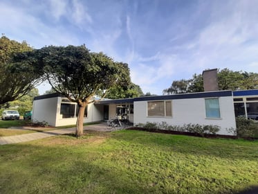 O-die Kids - Image 1