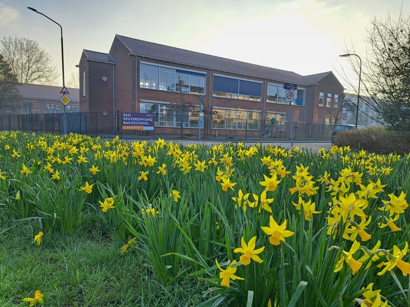 H3O Peuteropvang Prinses Julianaschool - Kinderdagverblijf in Dordrecht