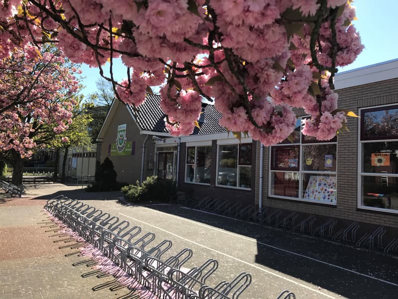 Kindcentrum De Kerkuil - Kinderdagverblijf in Limmen