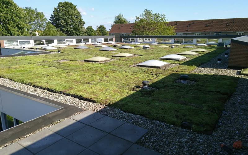 Ziezo BSO - Buitenschoolse opvang in Lelystad