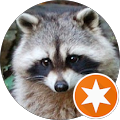 Robert ‘RaccoonV’