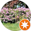 Isabella ‘IsisRoma’ Ismer