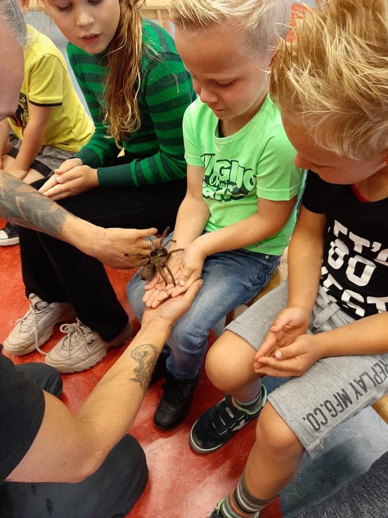 IKC De Horst - After-school care in de Wijk
