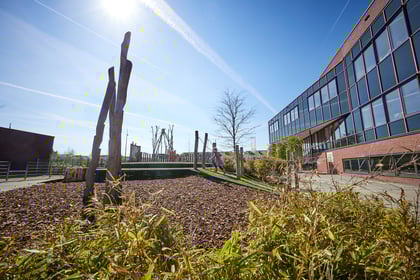 Doomijn BSO Biezenplein - Image 1