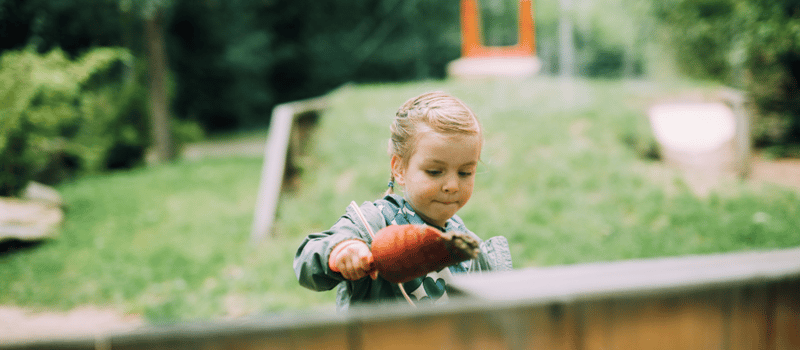 de Ontdektuin - Kinderdagverblijf in Etten-Leur