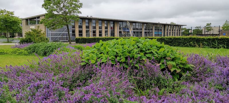 UniKidz Floriande - Buitenschoolse opvang in Hoofddorp