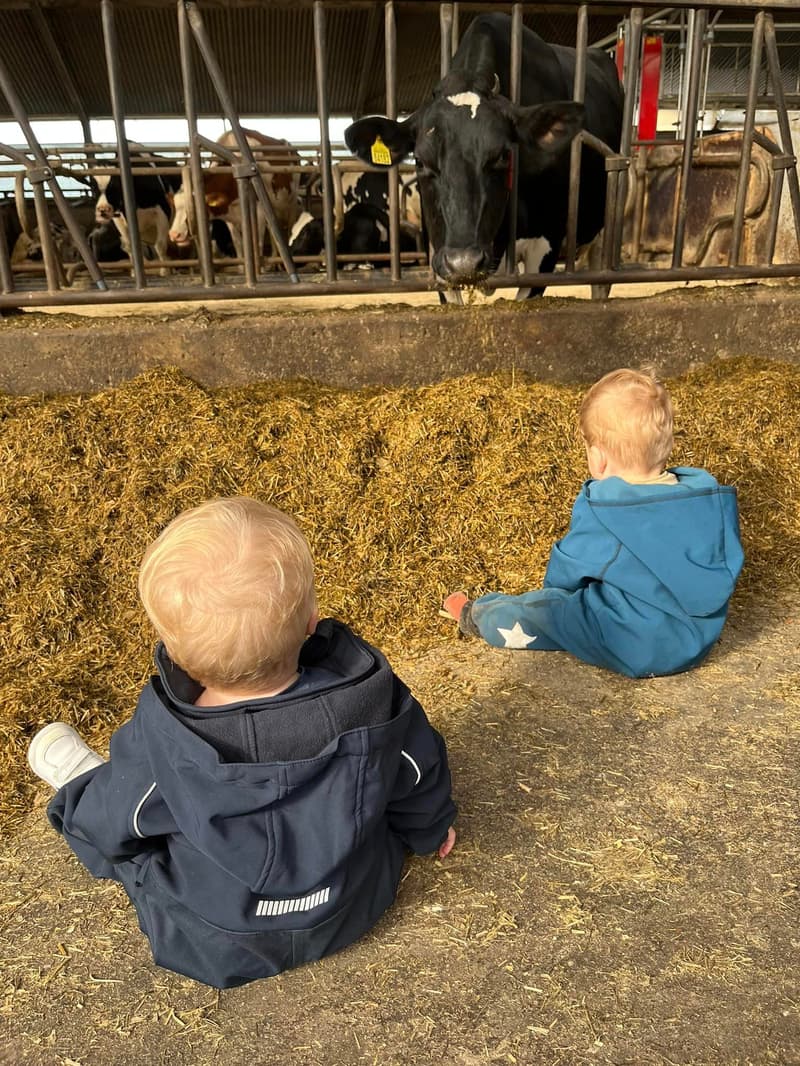 Eigen&Wijzer Kids & Animals - Daycare in Vrouwenparochie