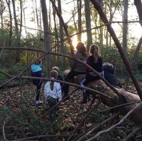 Zo op Gummarus - Image 1