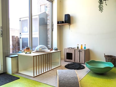 Kinderopvang De Morgenzon - Image 1