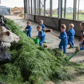 KDV & BSO De Boerderij - Image 1