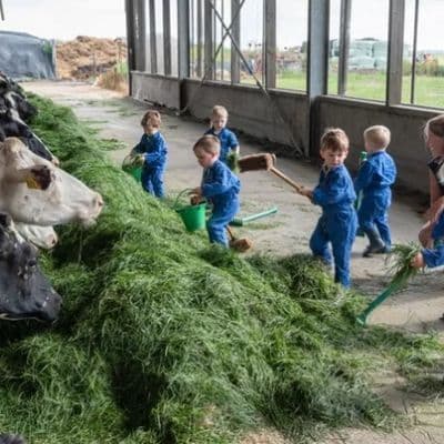 KDV & BSO De Boerderij - Buitenschoolse opvang in Soest