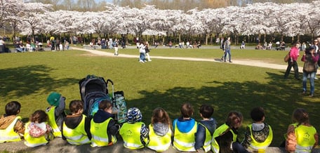 Hestia School of Understanding - Image 1