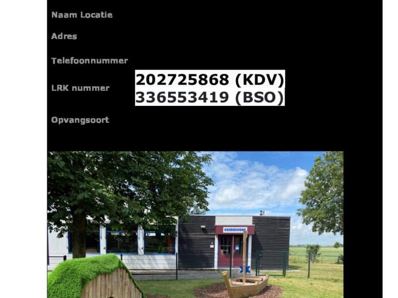 BSO Boazum It Krobbehonk - After-school care in Boazum