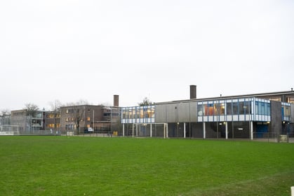 2Kameleons - Image 1