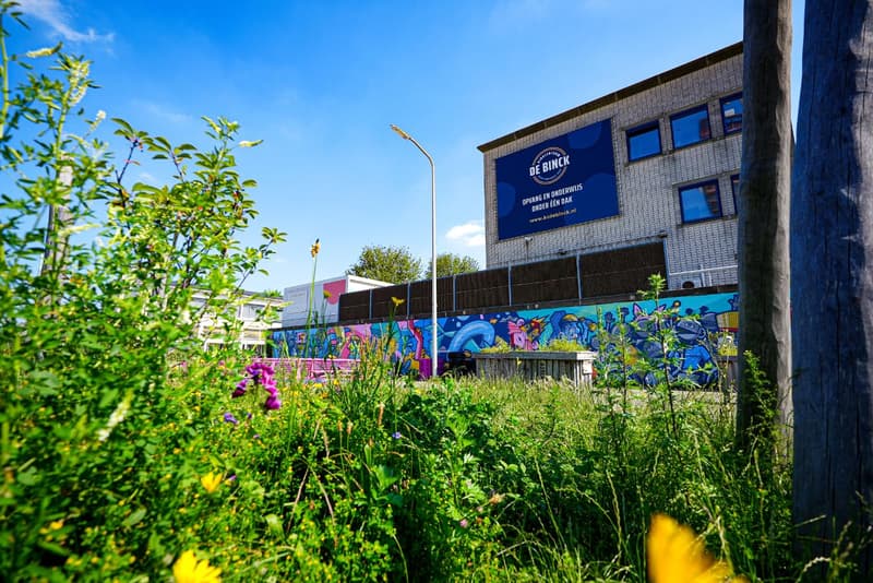 Kindcentrum De Binck - Kinderdagverblijf in 's-Gravenhage