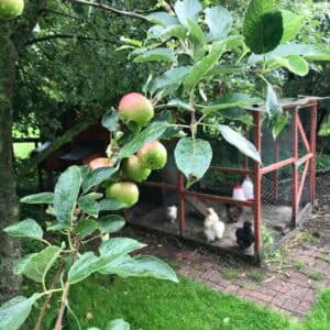 Kindercentrum Avonturen Tuin - Buitenschoolse opvang in Deinum