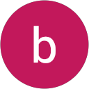 bart van dijk