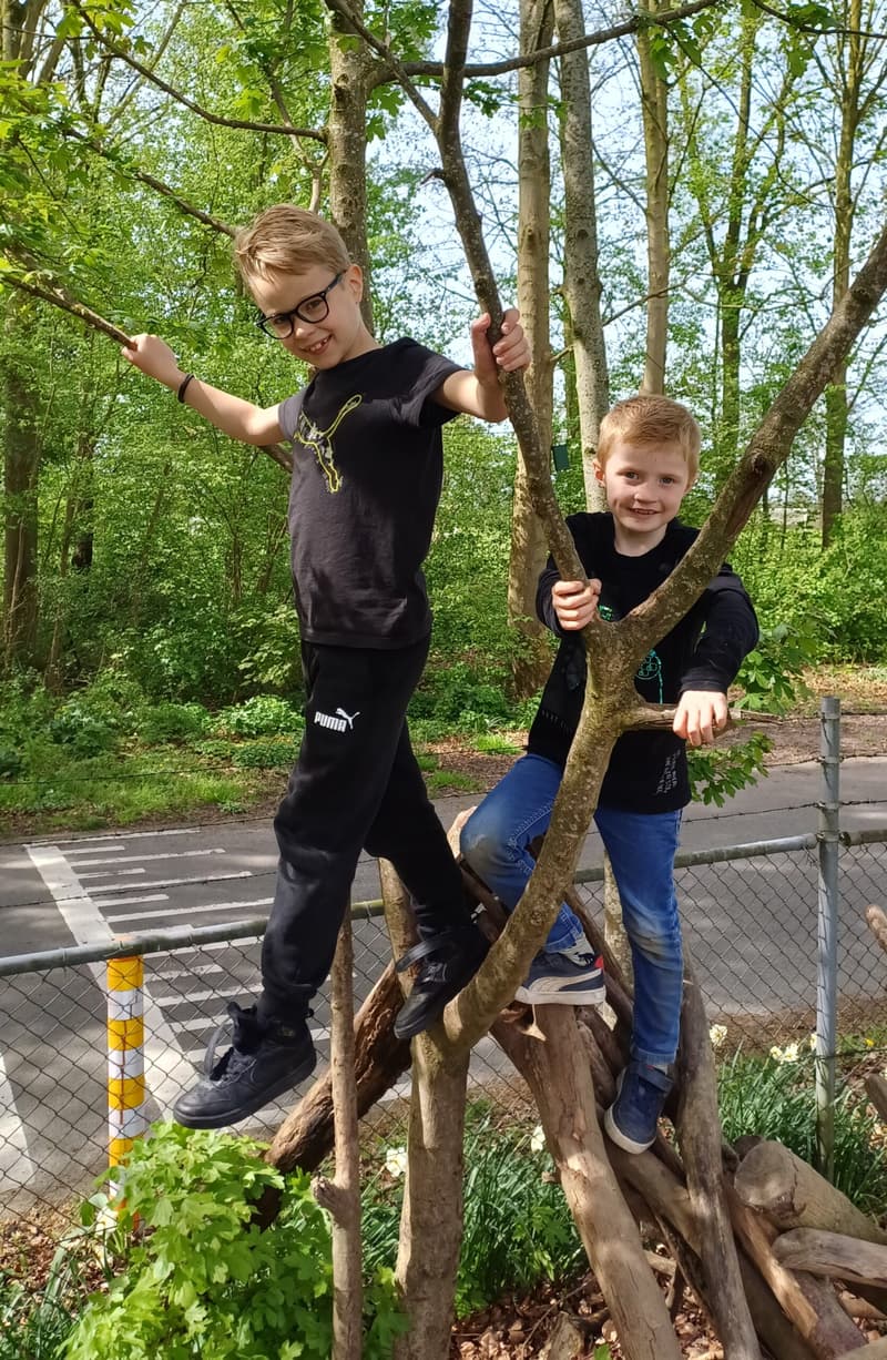 de Kleine Beer - Daycare in Emmeloord