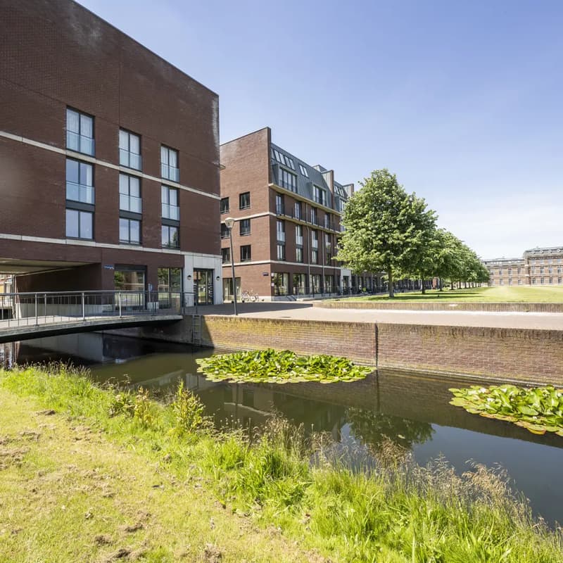CompaNanny Ripperda III - Buitenschoolse opvang in Haarlem