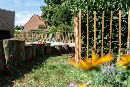 Kinderopvang De Groene Zwaluw, locatie BS Leeve - Image 1