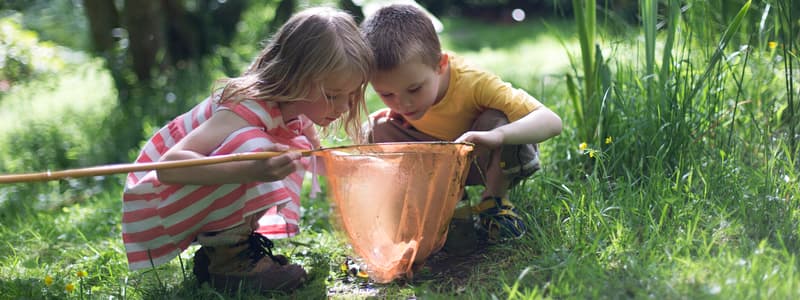 KDV De Wigwam Eerbeek - Daycare in Eerbeek