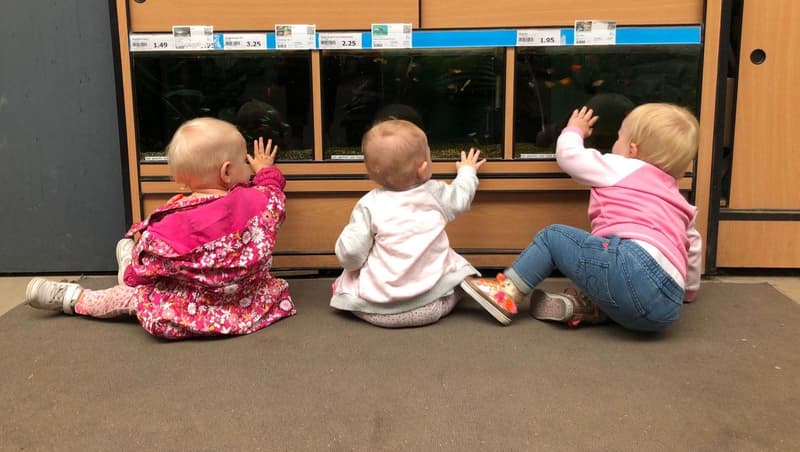 Kinderdagopvang De Tuinkabouter B.V. - Daycare in Lisse