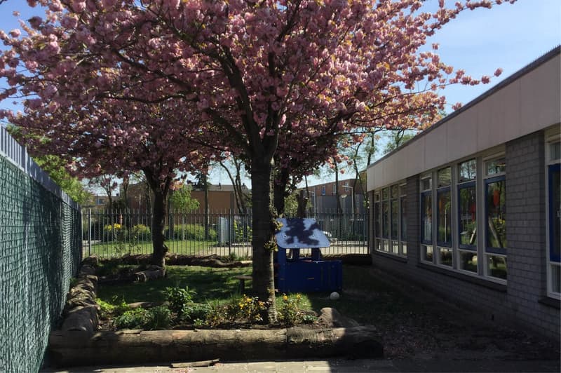 De Zeester - Kinderdagverblijf in Hoogvliet Rotterdam