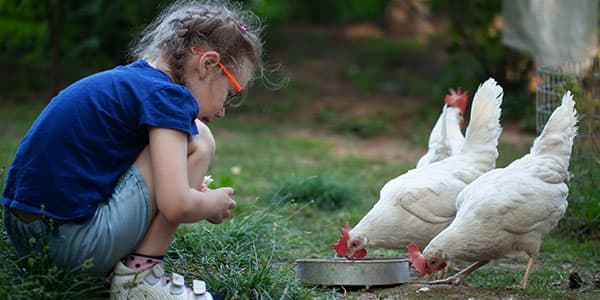 To Be Kind, locatie Het Koraal - Kinderdagverblijf in Nieuwerkerk aan den IJssel