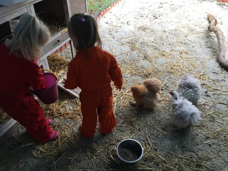 kinderdagverblijf Pluim - Kinderdagverblijf in Lelystad