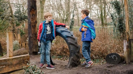 Steenuilen - Image 1