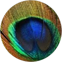 D B