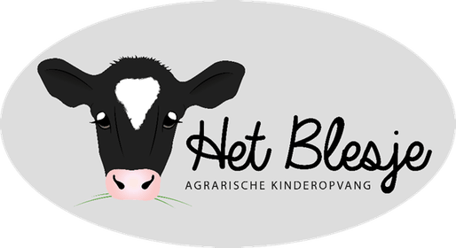 Het Blesje - Image 1
