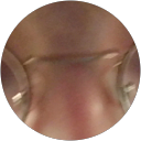 DitIsMick