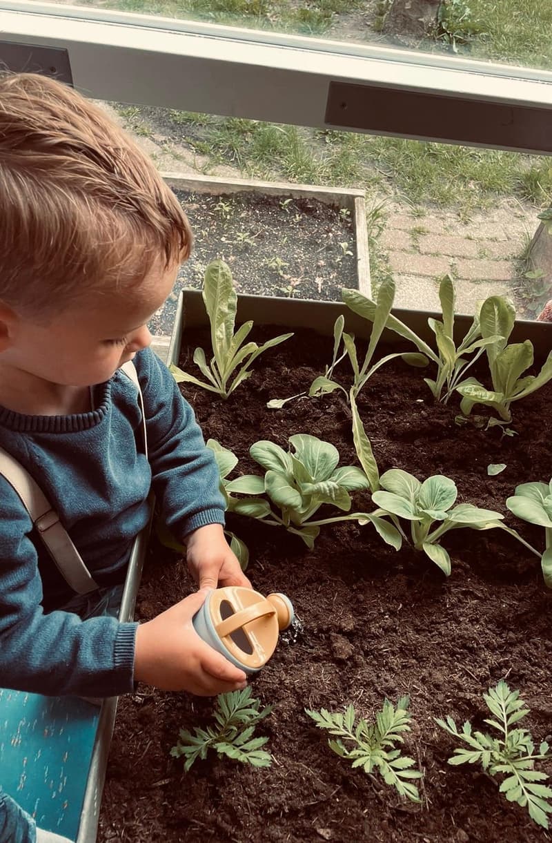 Kinderopvang Buitenleven B.V. - Daycare in Wijnjewoude