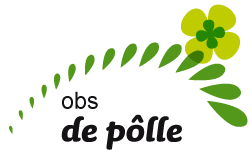 BSO De Polle - Buitenschoolse opvang in Marsum