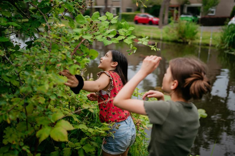 BSO Johanna Margaretha - Buitenschoolse opvang in Amsterdam