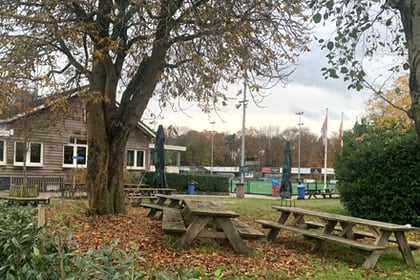 Monkey Moves BSO - Kees Boekelaan - Image 1