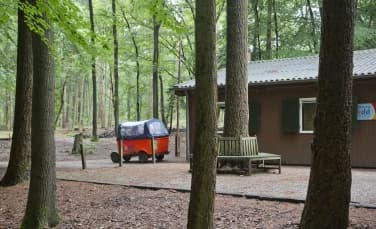 Bos BSO Doorn - Buitenschoolse opvang in Doorn