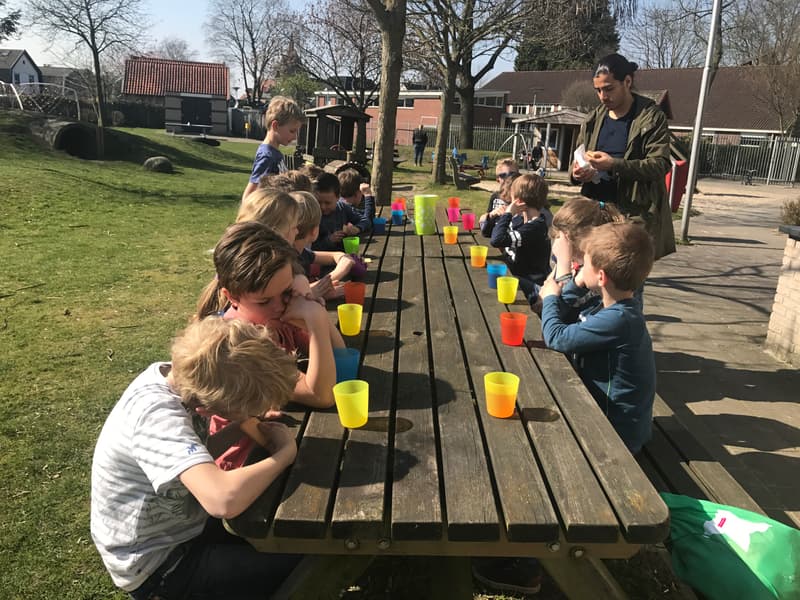 Kinderopvang Kleine Beer - After-school care in Hengelo