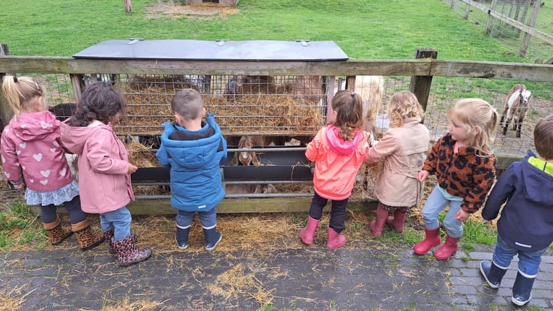 KinderOpvang De Vlinder - Kinderdagverblijf in Gendringen