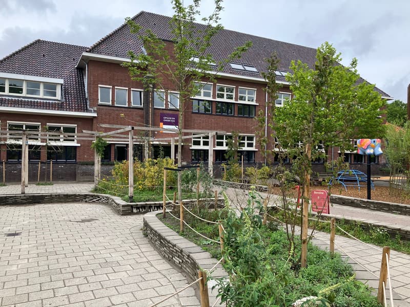 Repelaer - Buitenschoolse opvang in Dordrecht