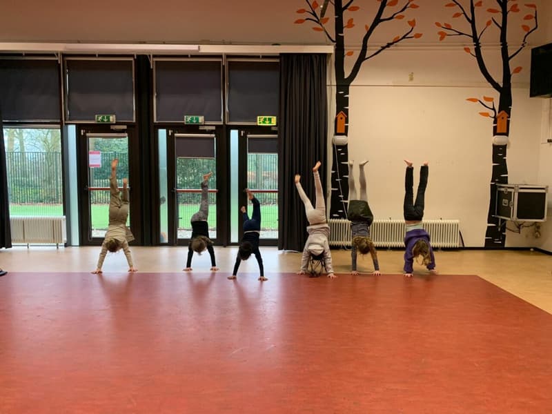 Sport-BSO Flekss - Kraaienest - Buitenschoolse opvang in Breda