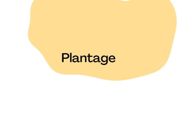Plantage - Daycare in Schiedam