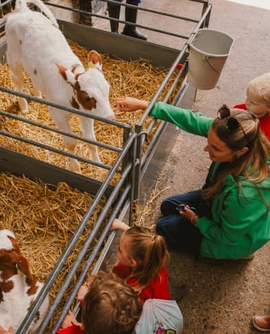 BSO De Koebel - After-school care in Assendelft