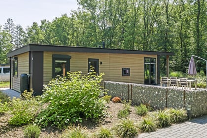 Reestrakkertjes, De - Image 1