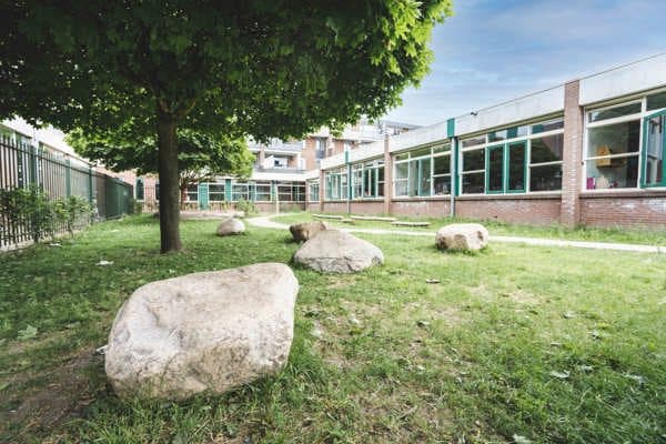 BSO Jungle - Buitenschoolse opvang in Spijkenisse