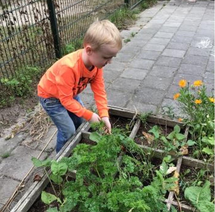BSO Schatrijk - Buitenschoolse opvang in Zaandijk