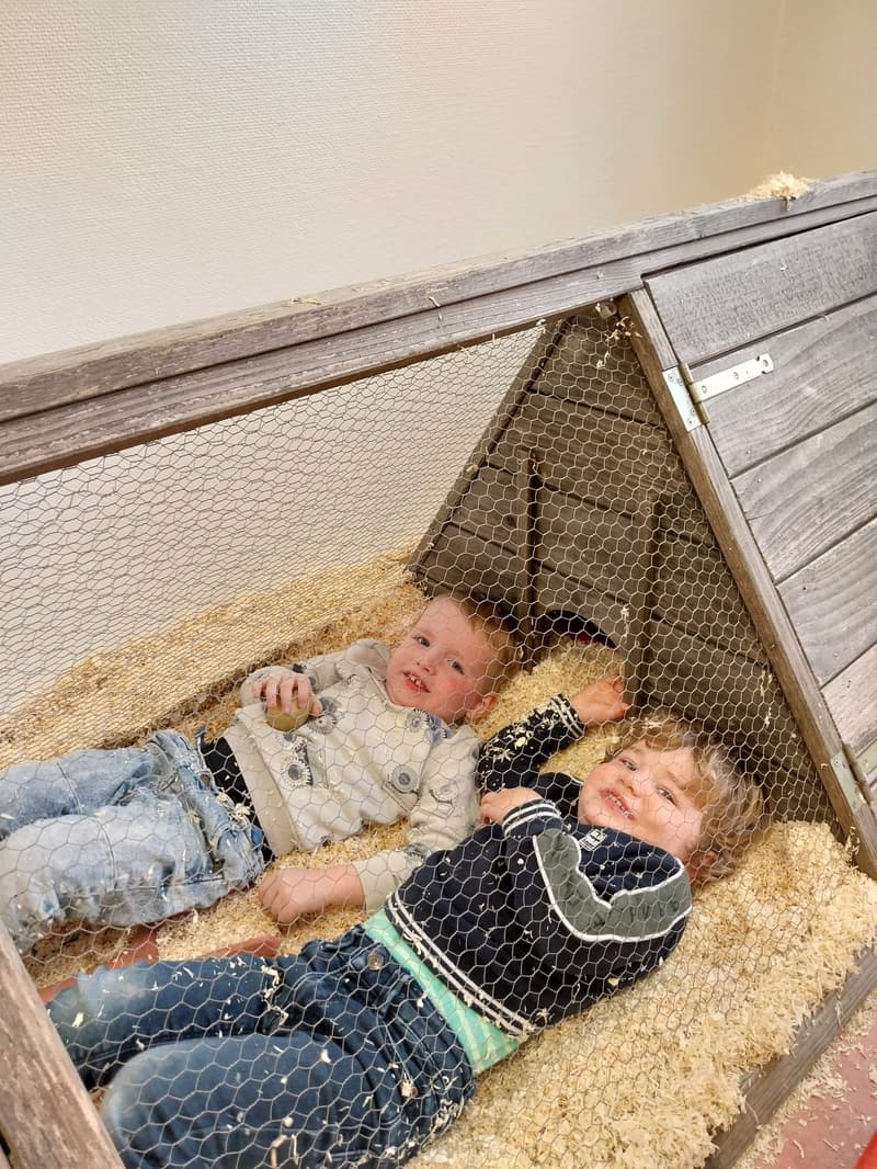 KDV De Woelige Hoek - Kinderdagverblijf in Zieuwent