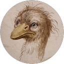 Rintse van de Vlasakker