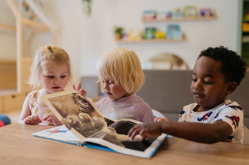 De Paradijsvogel - Kinderdagverblijf in Zaandam